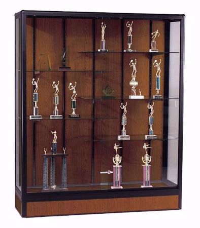 Picture for category Trophy Cases