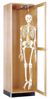 Picture of HANGING SKELETON CABINET