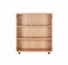 Picture of MOBILE MICROSCOPE CABINET, MAPLE