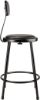 Picture of NPS® 24"Heavy Duty Vinyl Padded Steel Stool With Backrest, Black