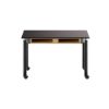 Picture of NPS® Signature Science Lab Table, Black, 24 x 48, Phenolic Top, Book Compartments and Casters