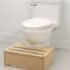 Picture of Potty Step