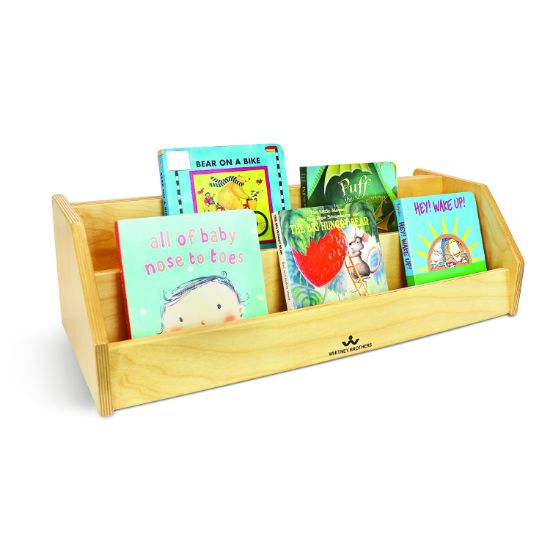 Picture of Infant-Toddler Book Display